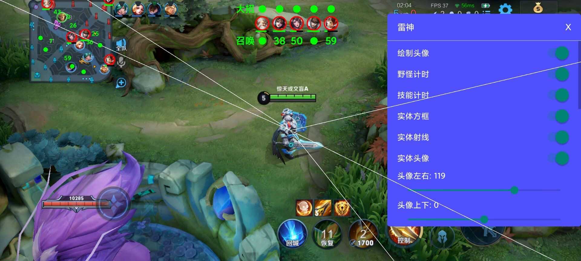 王者荣耀巅峰王者辅助科技