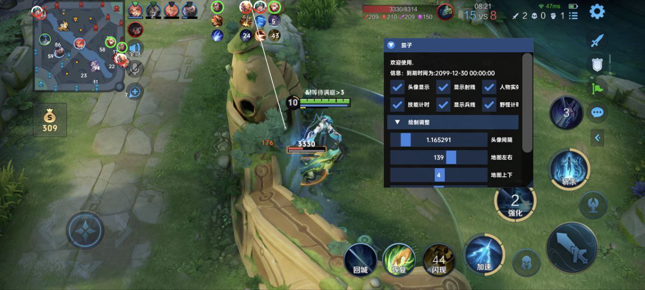 王者荣耀《熊猫》外挂